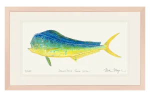 Bull Dorado/ Mahi Print - Best Seller