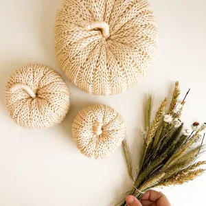 Easy Knit Pumpkin Pattern & Video